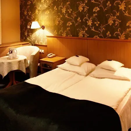 Great Polonia Krakow Airport - Ex Witek Hotel Modlniczka