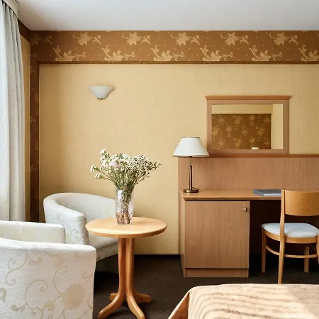 Hotel Witek 4*