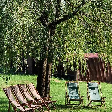 Hotel Witek