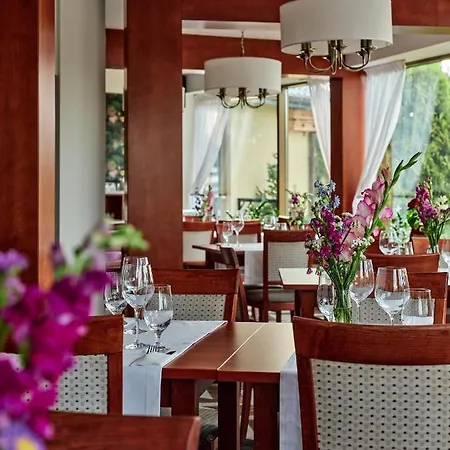 Great Polonia Krakow Airport 4* Modlniczka