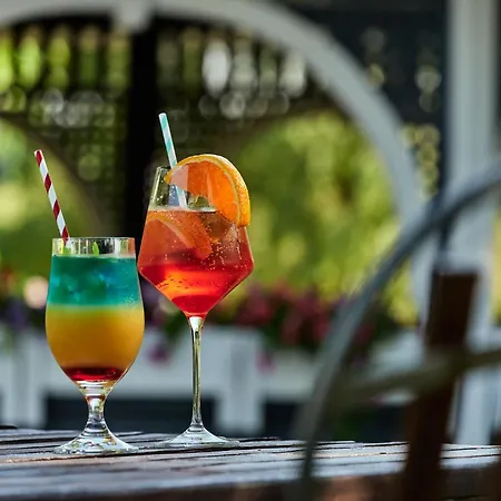 Great Polonia Krakow Airport Hotel 4*