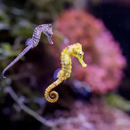 Great Polonia Krakow Airport