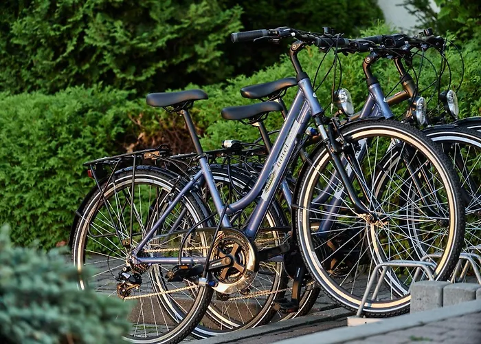 Great Polonia Kraków Airport 4*