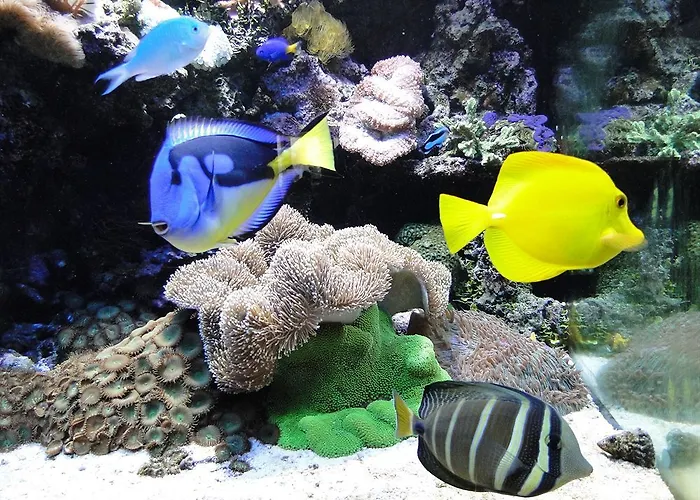 Great Polonia Kraków Airport Hotel