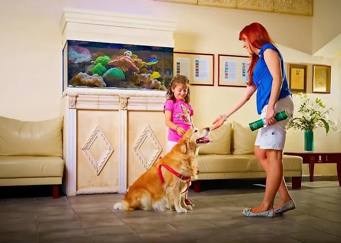 Great Polonia Krakow Airport מלון 4*